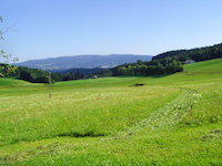 Aussicht auf den 
														Böhmerwald