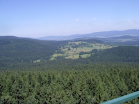 Aussichtsturm 
														Moldaublick