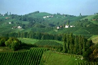 Südsteiermark