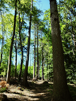 Spessartweg 2 zwischen Heimbuchenthal und Wintersbach