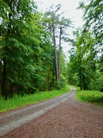 Wanderweg bei Nonnenbild