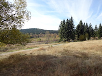 Hochmoor Oberbreitenau