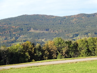 Herbstwald bei Gotteszell