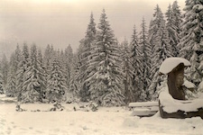 Wintereinbruch, Großer Arber