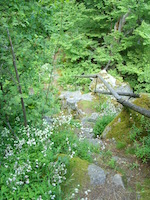 Steinerne Wand, Wanderweg