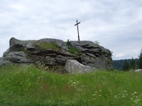 Reste des Burgstalls Wildstein