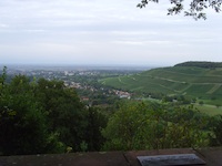 Badenweiler, Weinberg