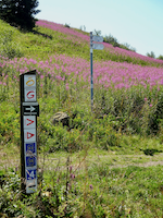 Aufstieg Wasserkuppe - Wegweiser