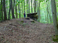 Wilder Tisch bei Schlüchtern-Ahlersbach