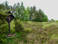 Wachholderheide auf dem Stackenberg