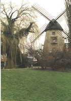 Windmühle in Laer