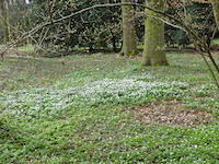 Erftauen bei Neuss, Gipfelkreuz