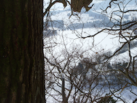 Aussicht auf verschneite Landschaft