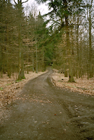 Wanderweg bei Kreuztal