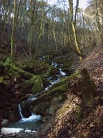 An der Kyll, 97 KB