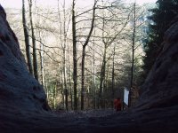 Genoveva-H&ouml;hle, 154 KB
