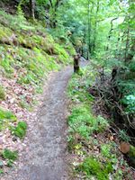 Eifelsteig bei Manderscheid