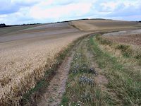 E 8 zwischen Obermoschel und 
              Rockenhausen - 131 KB