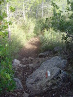 GR 92/E 10 im Naturpark Garraf