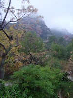 Bruguers, Parc de Garraf