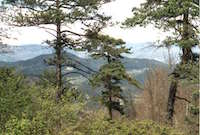 Alpens, Santa Margarida de Vinyoles