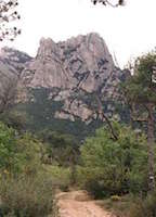 Felsen des Montserrat
