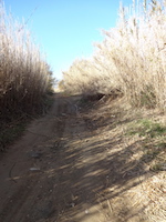 Parc Natural dels Aiguamolls de 
																lEmpordà