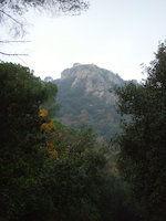 Blick auf den Turo de Cellecs