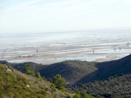 Ebromündung - Reisfelder