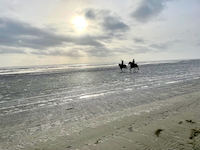 Reiter am Strand vom Parc du Marqenterre