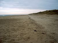 Utah Beach