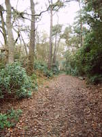Wanderweg bei Honfleur