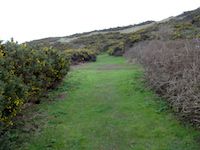 Wanderweg bei Etretat