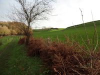 Der GR 21/E 9 bei Montivilliers