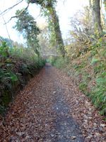 Hohlweg - der GR 21/E 9 bei Turretot