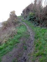 Der GR 21/E 9 bei St. Valery en Caux