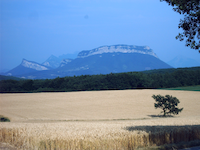 Forêt de 
									Saoû