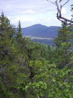 Blick auf den Berg, 
                                    76 KB