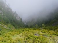 Thessalien,Stalamatia-Schlucht 102 KB