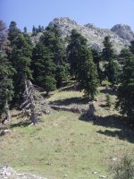 Pindos Koziaka, 160 KB