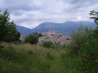 Marienkäfer am Ätna