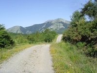 Blick auf den Monte Sireno