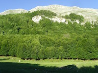 Monte Cervati