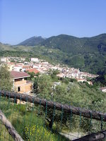 Piaggine