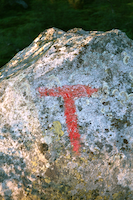 Startpunkt Bortellii