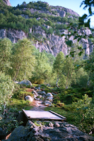 Wanderweg mit 
									Brücke