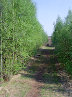 Weiteveen bai Klazinaveen