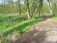 Onstwedde, Metbroekbosch