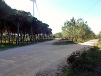 Barão de São João - 
														Wegteilung