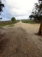 Vila do Bispo/Carrepateira